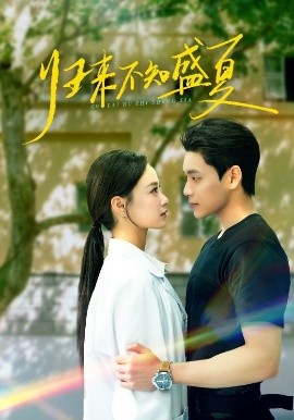 归来不知盛夏