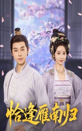 恰逢雁南归