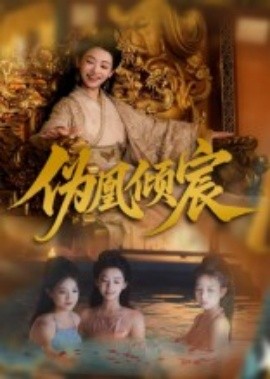 伪凰倾宸